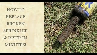 How to replace a broken sprinkler head andor riser  Ten minute job [upl. by Osnola]