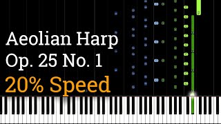 Chopin  Etude Op 25 No 1 Aeolian Harp Slow Piano Tutorial 20 Speed [upl. by Epps]