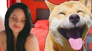 UNE FEMME FAIT L AMOUR AVEC UN CHIEN 🐶 ET ÇA L EXCITE 🔞 ZOOPHILIE [upl. by Oeak]