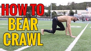 How to Crawl  Beginners Guide to Crawling [upl. by Anerok]