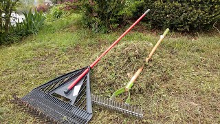 Dethatching your lawn by hand and 3 great uses for the grass clippings you remove [upl. by Villiers906]