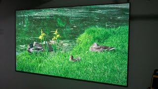 Elite Screens AEON CLR3 Video Review [upl. by September]