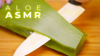 ASMR Best Aloe Sounds for Sleep Tingles and Relaxation No Talking [upl. by Ahtram755]