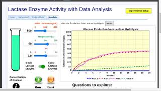 Lactase Enzyme Activity with Data Analysis Simulation [upl. by Eednak]