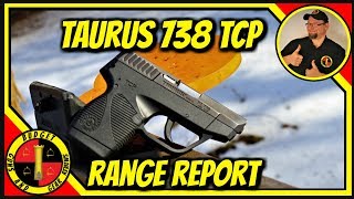 Taurus TCP 380 the Perfect Concealed Carry Companion [upl. by Eeimaj]