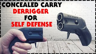 Derringer Aegis For Self Defense And Home Defense [upl. by Anigar]