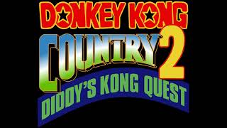 Stickerbush Symphony  Donkey Kong Country 2 Diddys Kong Quest Music Extended [upl. by Adalie]