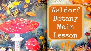 WALDORF MAIN LESSON BOTANY  UNIT STUDY PLANTS amp TREES  HOMESCHOOL [upl. by Eliott]