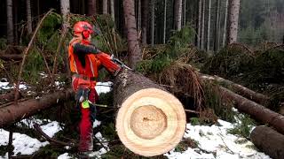 Husqvarna 572 XP HARD WORKHARD CUTTING [upl. by Anaitak]