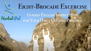 EightBrocade Exercise Daily Qi Gong Practice with English Instructions [upl. by Hedelman]