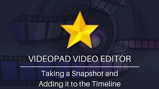 How to Take a Snapshot  VideoPad Video Editing Software Tutorial [upl. by Christan97]