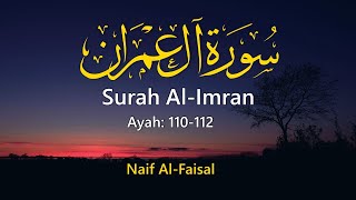 Best Soothing Recitation  Surah AlImran Ayah 110112  Naif AlFaisal [upl. by Esorylime]