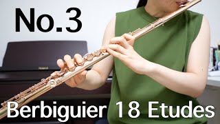 【ベルビギエ】Berbiguier 18 etudes No3 [upl. by Atinram251]