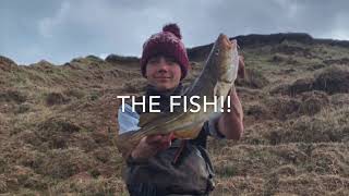 Fishing Filey brig for cod May 2020 [upl. by Ajat12]