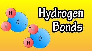 Hydrogen Bonds  What Are Hydrogen Bonds  How Do Hydrogen Bonds Form [upl. by Merilee478]