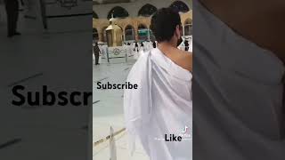 Cat in stairs in Makkah Khana kaba catlover stairs khanakaba makkah ytshorts [upl. by Hbaruas867]