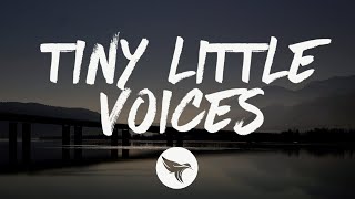 Nate Botsford  Tiny Little Voices Lyrics [upl. by Pamela]