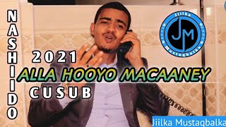 Baajamaall  ALLA HOOYO MACAANEY  Office Video 2021 [upl. by Oahc]