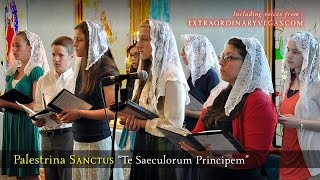 Rehearsal video • Palestrina SANCTUS “Te sæculorum Principem” [upl. by Algie]