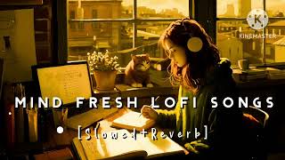 Nonstop Mind Fresh Lofi songs  Slowed And Reverb Song 💞 love Lofi songs  night Lofi songs [upl. by Hctim12]