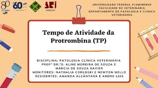 Avaliação do Tempo de Protrombina TP [upl. by Alyal972]