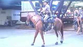 Dancing police horse riden by Lloyd Douglas [upl. by Ailsa]