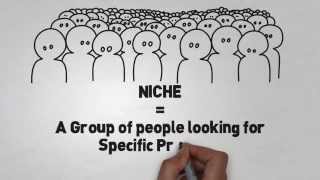 What is a Niche Market [upl. by Richer344]