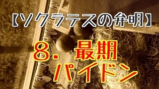 【ソクラテスの弁明】８．最期 パイドン [upl. by Eric]