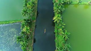 Drone Footage  Birds Eye View Kerala Backwaters  Pallithode Alappuzha [upl. by Lekram]