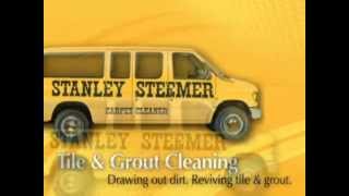 How Stanley Steemer Cleans [upl. by Accebar532]