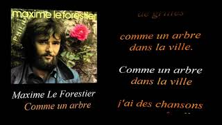 Maxime Le Forestier Comme un arbre [upl. by Bate788]