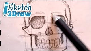 How to Begin Sketching a Skull Pencils [upl. by Alyhc267]