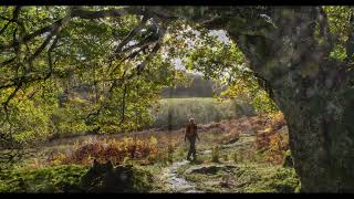 Autumn in Gwydir Forest [upl. by Eidnil]