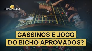 CASSINOS E JOGO DO BICHO são aprovados na CCJ do Senado [upl. by Nyrol]