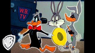 New Looney Tunes Opening  01  Español de España [upl. by Lightman]