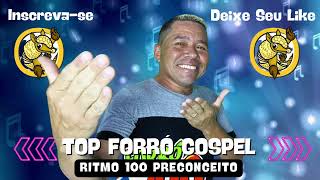 FORROZÃO PESADO ✦ Top Forro Gospel ✦ Ritmo Forró 100 Preconceito 2024 [upl. by Eissim840]