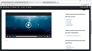 Easy Video Player Plugin for WordPress [upl. by Lashoh361]