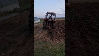 Zetor 5211  Oranje  Ploughing shorts ploughing oranje zetor agriculture orka imt [upl. by Elleina408]