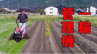 無農薬野菜作りの定番 一輪管理機 除草編 vol1 [upl. by Georgy]