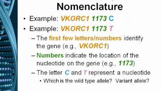 Pharmacogenomics lecture series Genetic polymorphism Part 1 [upl. by Adnohsar]