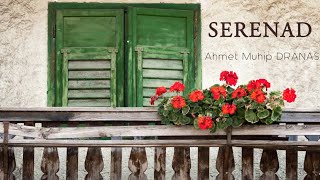 Serenad Şiiri  Ahmet Muhip Dıranas Sesli Şiir🎼🎙 [upl. by Amice]