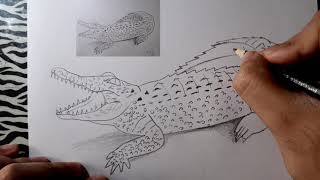 ¿Cómo dibujar un COCODRILO  How to draw a CROCODILE [upl. by Donielle734]