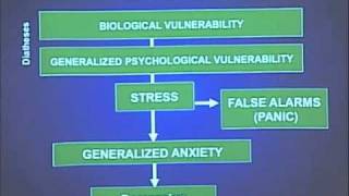 Anxiety and Mood Disorders in DSM5 [upl. by Asselam358]