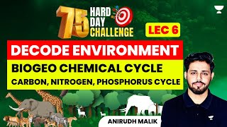 L6  Biogeo Chemical Cycle  Carbon Nitrogen Phosphorus Cycle  Environment Series  Anirudh Malik [upl. by Mihsah]