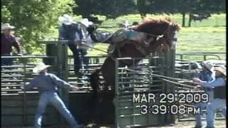 Saddle Bronc Riding Wreck [upl. by Nagud]