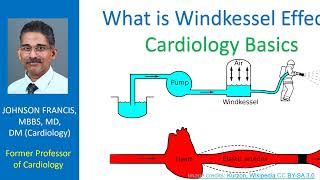 What is Windkessel effect Cardiology Basics [upl. by Eiramassenav52]