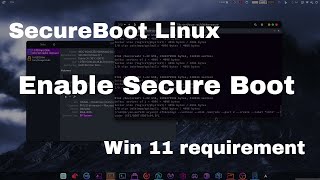 Enable secure boot on Linux  Dual boot Windows 11 and Linux [upl. by Eissahc758]