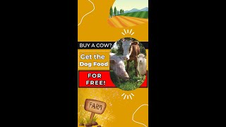 Buy a cow—get the dog food for free [upl. by Wendel]