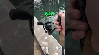 Best Fishing Reel For Under 25 Dollars [upl. by Nakashima877]