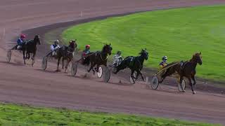 Avenches  09102024  PRIX DES SABLES DOLONNE [upl. by Clie]